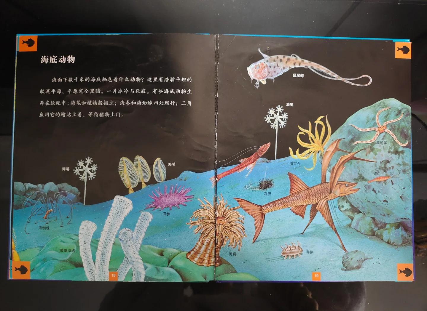 包含海底水下寻宝大赛，神秘宝藏等你探索的词条