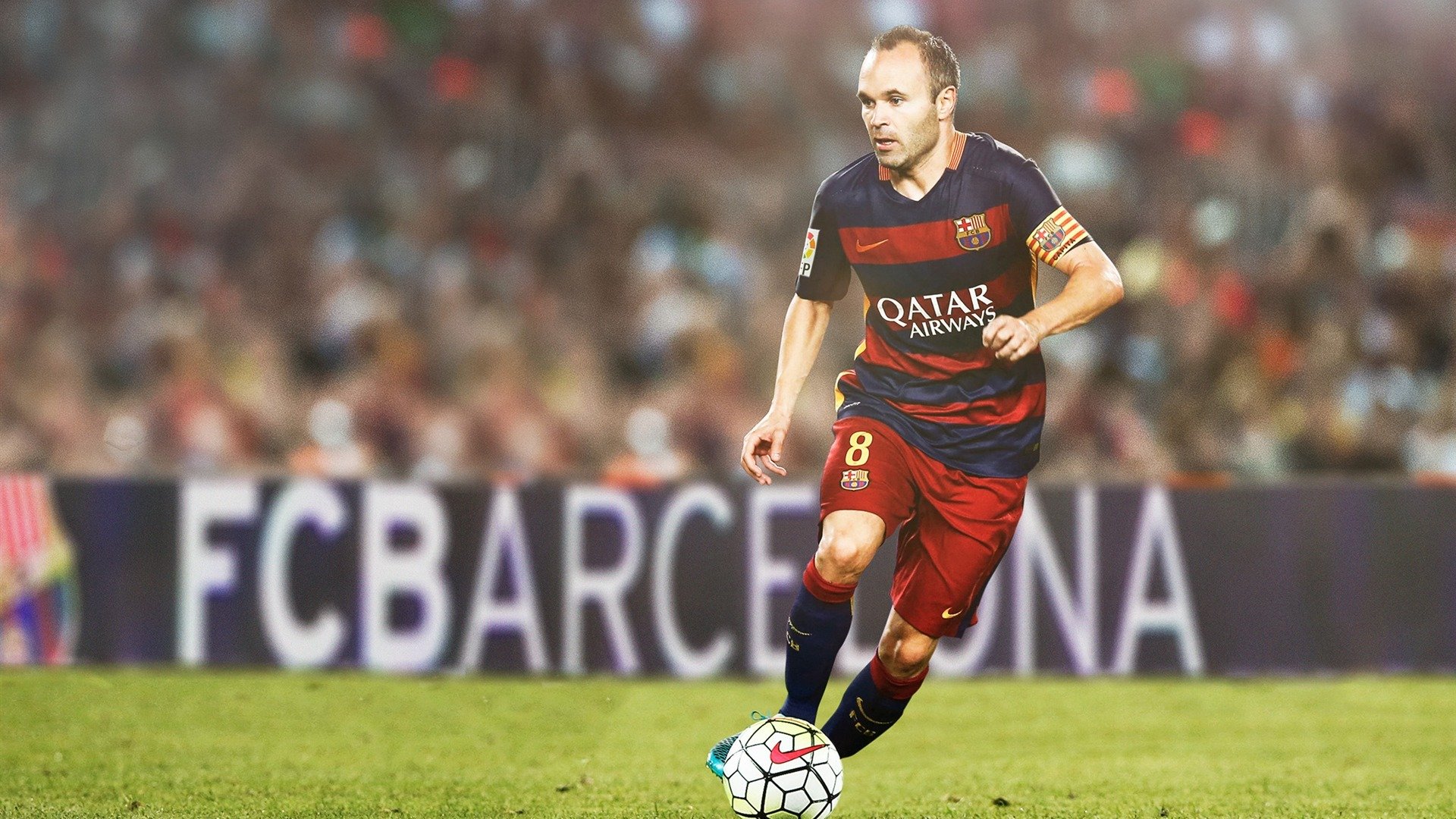 澳大利亚自由泳王牌又一经典之作，澳大利亚自由泳运动员