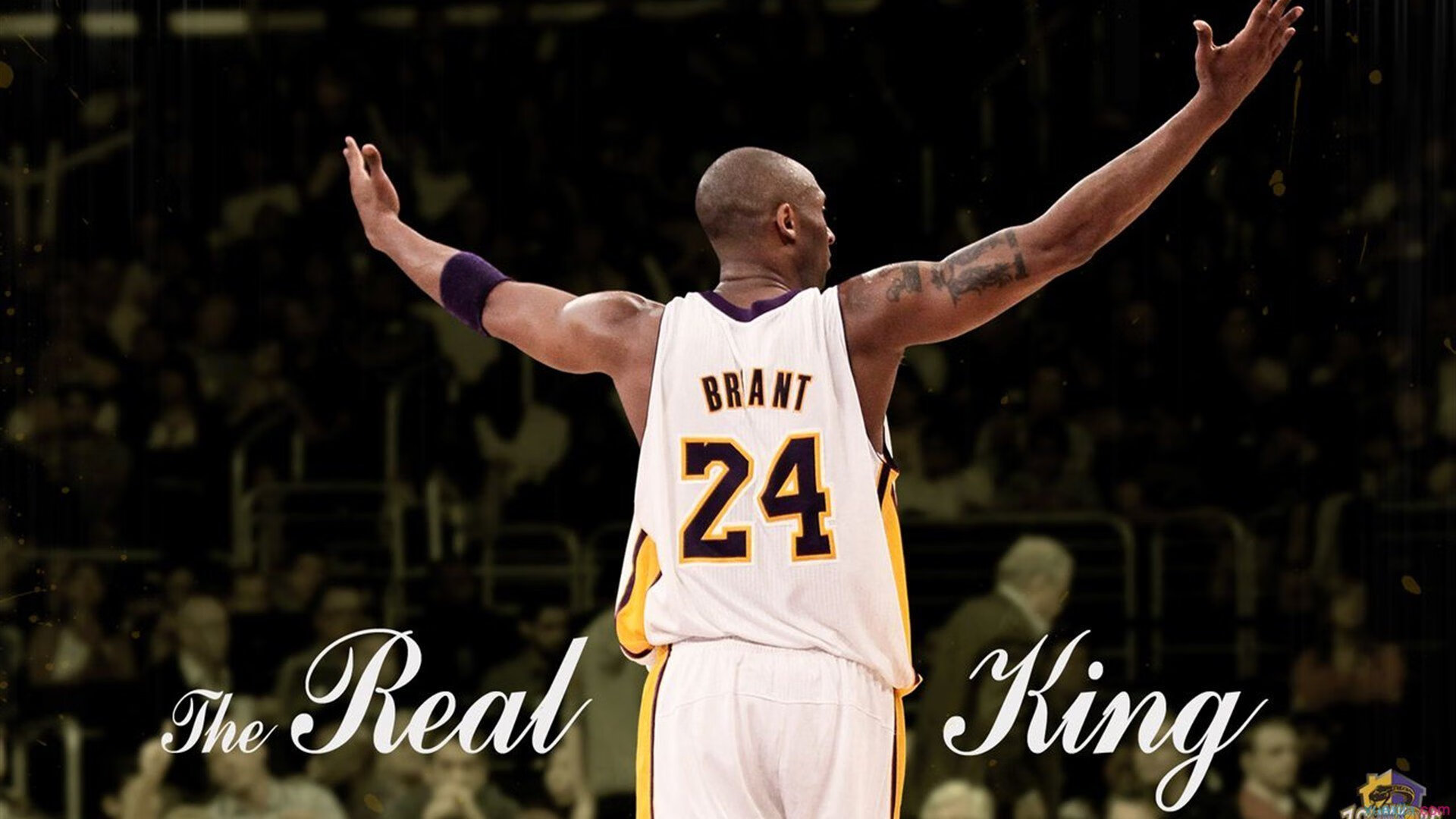 伊朗骑手吉塔·日特科维奇荣获2024年最佳障碍赛骑手奖,表彰其卓越表现。